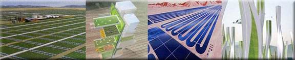 Algae Landscape Designs