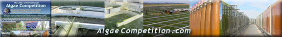 AlgaeCompetition.com